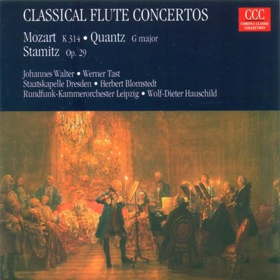 Siegfried HarzerThomas KäpplerFrank BehsingJohannes WalterBernhard Schmidt MOZART, W.A.: Flute Concerto No. 2QUANTZ, J.J.: Concerto for Flute and BassoonSTAMITZ, C.: Flute Concerto, Op. 29 (Tast, Walter, Konigstedt)