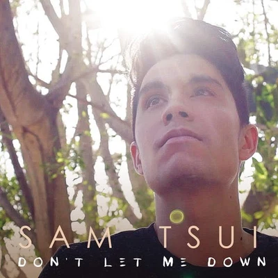 Dont Let Me Down 專輯 Sam Tsui