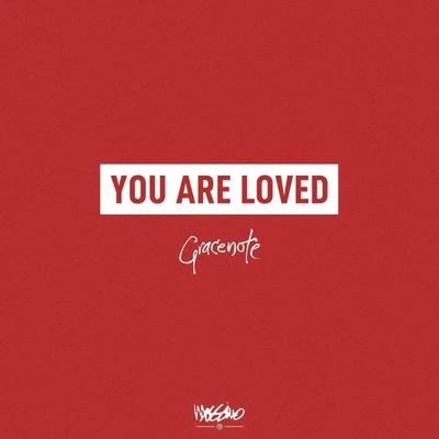 You Are Loved 專輯 DJ M.O.D./Gracenote