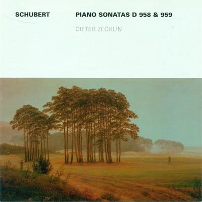 Franz Schubert: Piano Sonatas Nos. 19 and 20 (Zechlin) 專輯 Dieter Zechlin