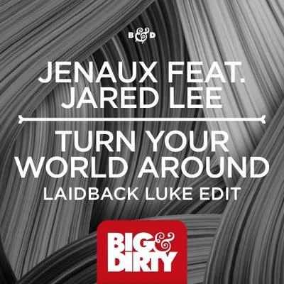 Turn Your World Around (Laidback Luke Edit) 專輯 Jared Lee/Markus Schulz