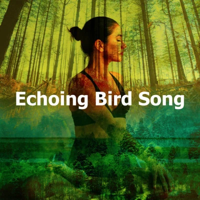 Echoing Bird Song 專輯 Meditation Relaxation Club/Rain/Rain Sounds/Nature Sounds/Masters of Binaurality