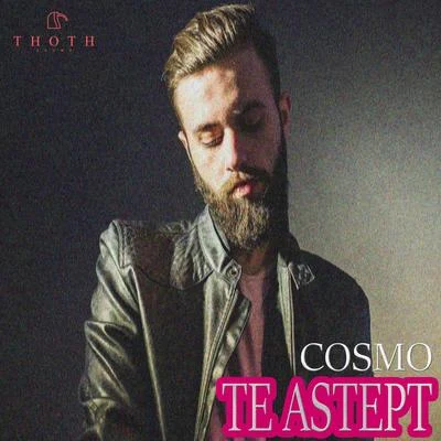 Te Astept 專輯 Elephant/Cosmo/Zer/Energy Loop/Quintino & Blasterjaxx