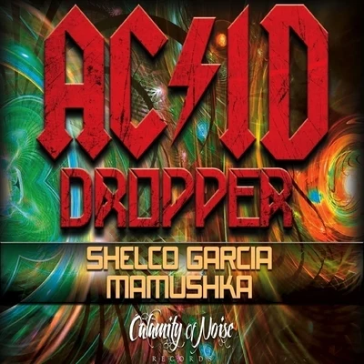 Shelco Garcia Acid Dropper - Single