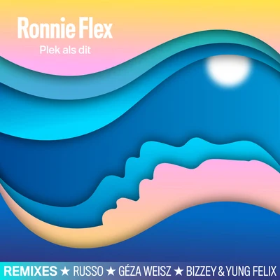 Ronnie Flex Plek Als Dit (Remixes)