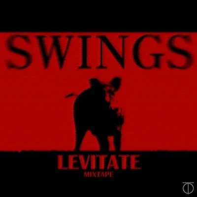 Swings Levitate 1