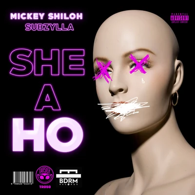 She a Ho 专辑 Mickey Shiloh/Richard Bahericz/G. H. Hat/Royal Riviera