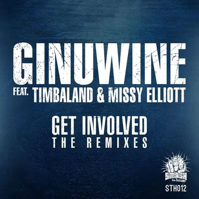 Ginuwine Get Involved (The Remixes）