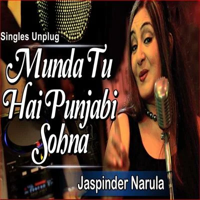 Singles Unplug 专辑 Jaspinder Narula/Anup Jalota/Narendra Singh