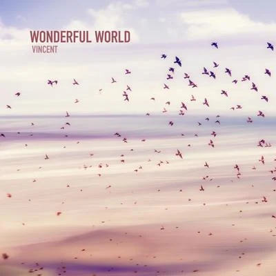 Vincent Wonderful World