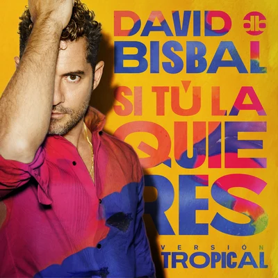 Si Tú La Quieres (Versión Tropical) 专辑 David Bisbal