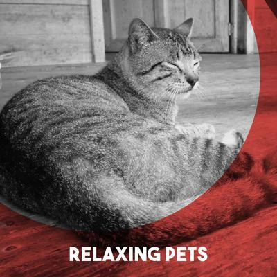 Relaxing Pets 专辑 Jörg Metzger/Camerata Academica Würzburg/Gert Hoelscher/Antonio Vivaldi/Conrad von der Goltz