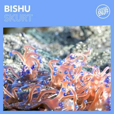 Skurt 專輯 BISHU