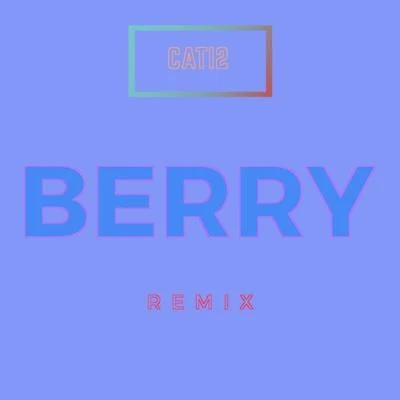 BERRY REMIX 專輯 OFFF/CATI2/大波_DOUBLE