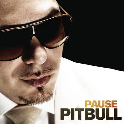 Pause (Zumba Mix) 專輯 Pitbull/Leona Lewis