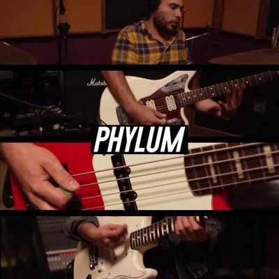 Phylum (feat. Vanessa Zamora, Joakks, Technicolor Fabrics, Wicho, Ray Coyote, Isis Zapata, David Muñoz & Los Master Plus) 專輯 David Muñoz