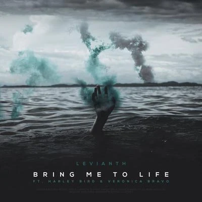 Bring Me To Life 专辑 Levianth/Denis Elezi