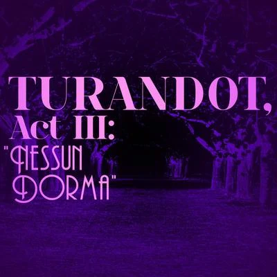 Turandot, Act Iii: "Nessun Dorma" - Single 专辑 Dennis O'Neill