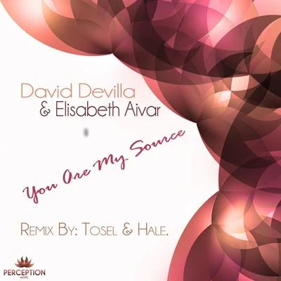 You Are My Source 專輯 David Devilla/Mauro B