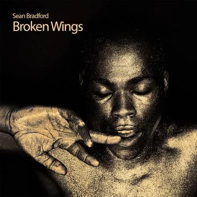 Broken Wings 專輯 Sean Bradford