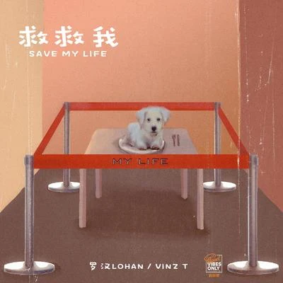 VINZ T迪力54LINK 救救我 (Save My Life)