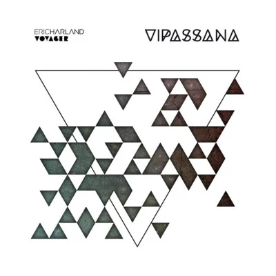 Vipassana 专辑 Eric Harland/James Francies/Chris Potter