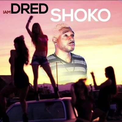 Shoko 專輯 Iamdred