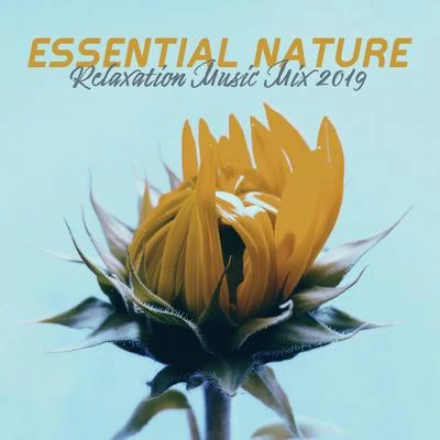 Essential Nature Relaxation Music Mix 2019 專輯 Inspiring Tranquil Sounds/Nature Sounds for Sleep and Relaxation/Calm Music Masters