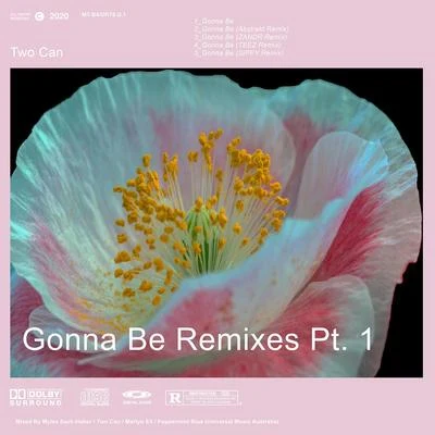 Gonna Be Remixes, Pt. 1 專輯 Savoi/Two Can