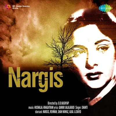 Nargis 專輯 SHANTI/Massive/1200 Mics/Krome Angels/XSI