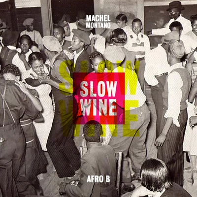 Slow Wine (feat. Afro B) 专辑 Machel Montano/Angela Hunte