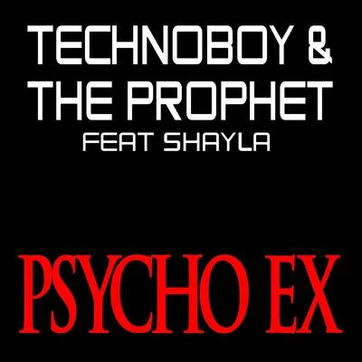 Psycho Ex 专辑 Technoboy