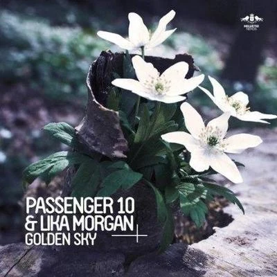 Passenger 10 Golden Sky