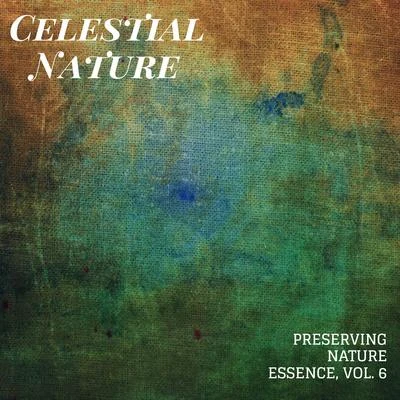 Celestial Nature - Preserving Nature Essence, Vol. 6 專輯 Rain Sounds For Sleep/Zarobi/Natural Rain Sounds for Sleeping