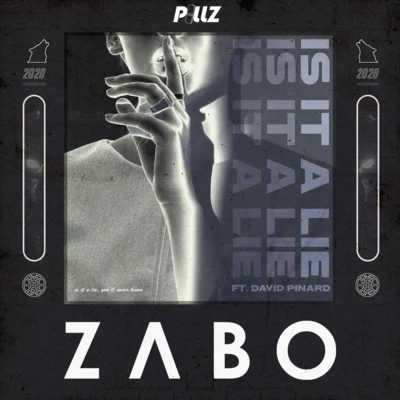 Is It A Lie (feat. David Pinard) 专辑 ZABO