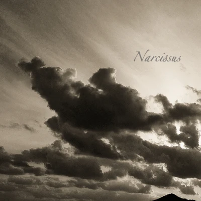 Narcissus 专辑 ADM/橄榄Liyv/Futo./Kyrrin/Massica