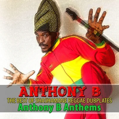 The Best of Shashamane Reggae Dubplates (Anthony B Anthems) 專輯 Anthony B/Danakil/Volodia/Flavia Coelho/Josh