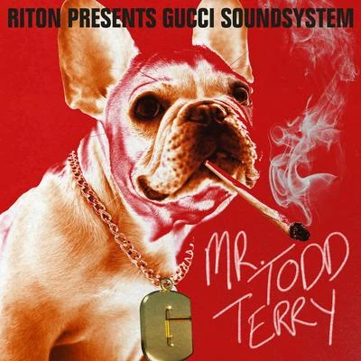 Mr Todd Terry 專輯 Riton