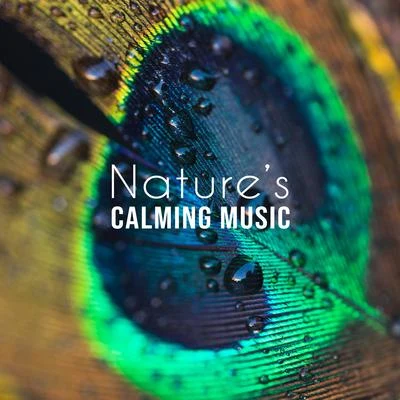 Nature’s Calming Music - Collection of 15 Songs Deeply Relaxing, Soothing and Calming 專輯 The Calming Sounds of Nature/Nature Sounds for Sleep and Relaxation