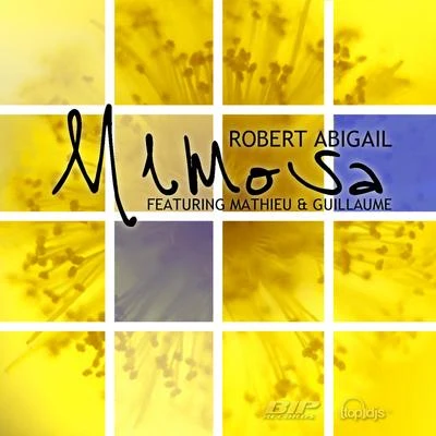 Mimosa 专辑 DJ Rebel/Robert Abigail