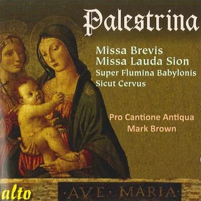 PALESTRINA, G.P. da: MassesMotets (Pro Cantione Antiqua, Brown) 專輯 Pro Cantione Antiqua/members Collegium Aureum/Heinz Hennig/Cologne Musica Fiata/Hannover Boys Choir