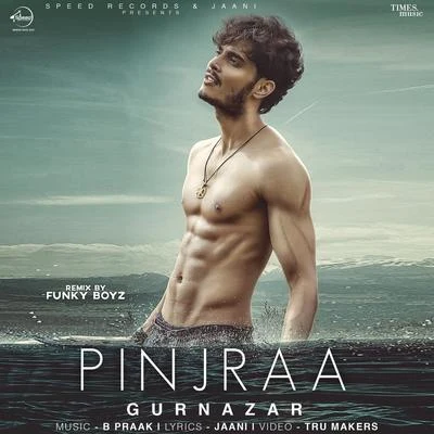 Pinjraa (Remix) - Single 專輯 Gurnazar/Ali Brothers