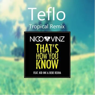 Thats How You Know (Teflo Tropical Remix) 專輯 Nico & Vinz