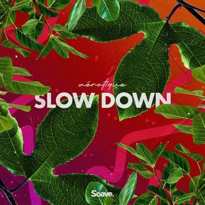 Slow Down 专辑 Aérotique/Glaceo