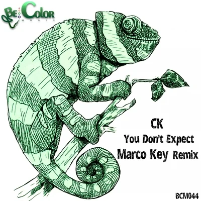 You Dont Expect (Marco Key Remix) 專輯 CK