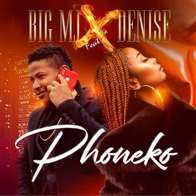 Phoneko 专辑 DJ Flex/Sylka/Big Mj/Tence Mena/Nyti