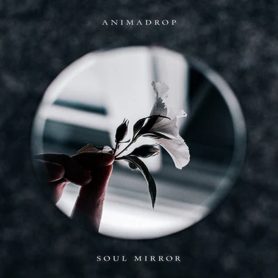 Soul Mirror 专辑 Animadrop