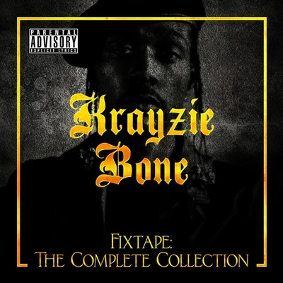 Fixtape: The Complete Collection 專輯 Krayzie Bone/Kimberly Wyatt/Lady Gaga/Akon/Sam Sparro