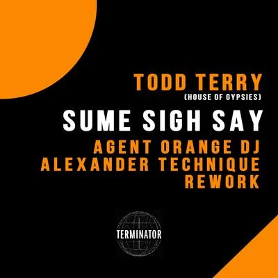 Sume Sigh Say (Agent Orange DJ & Alexander Technique Rework) 專輯 D Train/Todd Terry