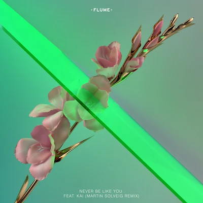 Never Be Like You (feat. Kai) [Martin Solveig Remix] 專輯 Flume